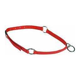 Pet Neck Collar U495623