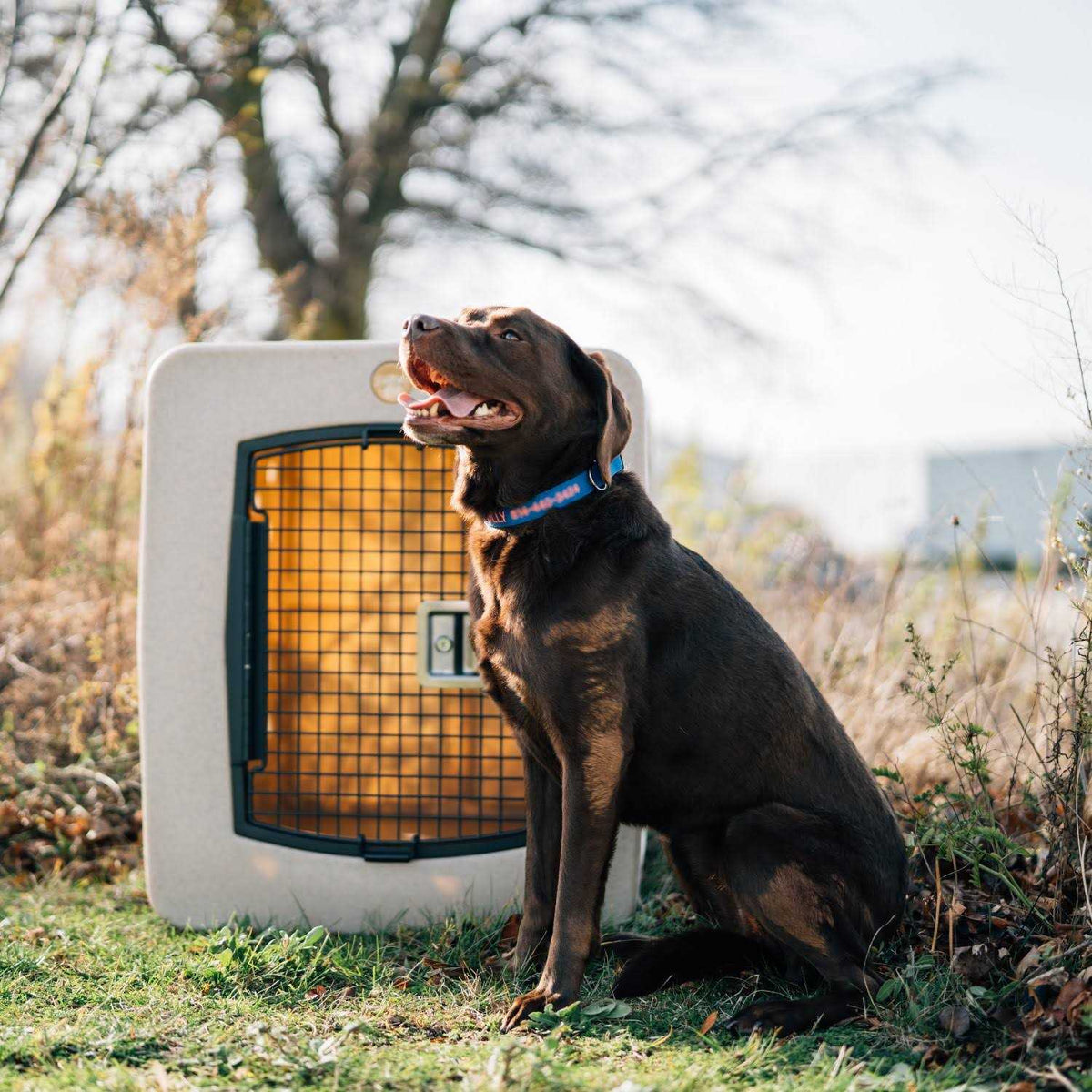 Framed Door Kennel T247