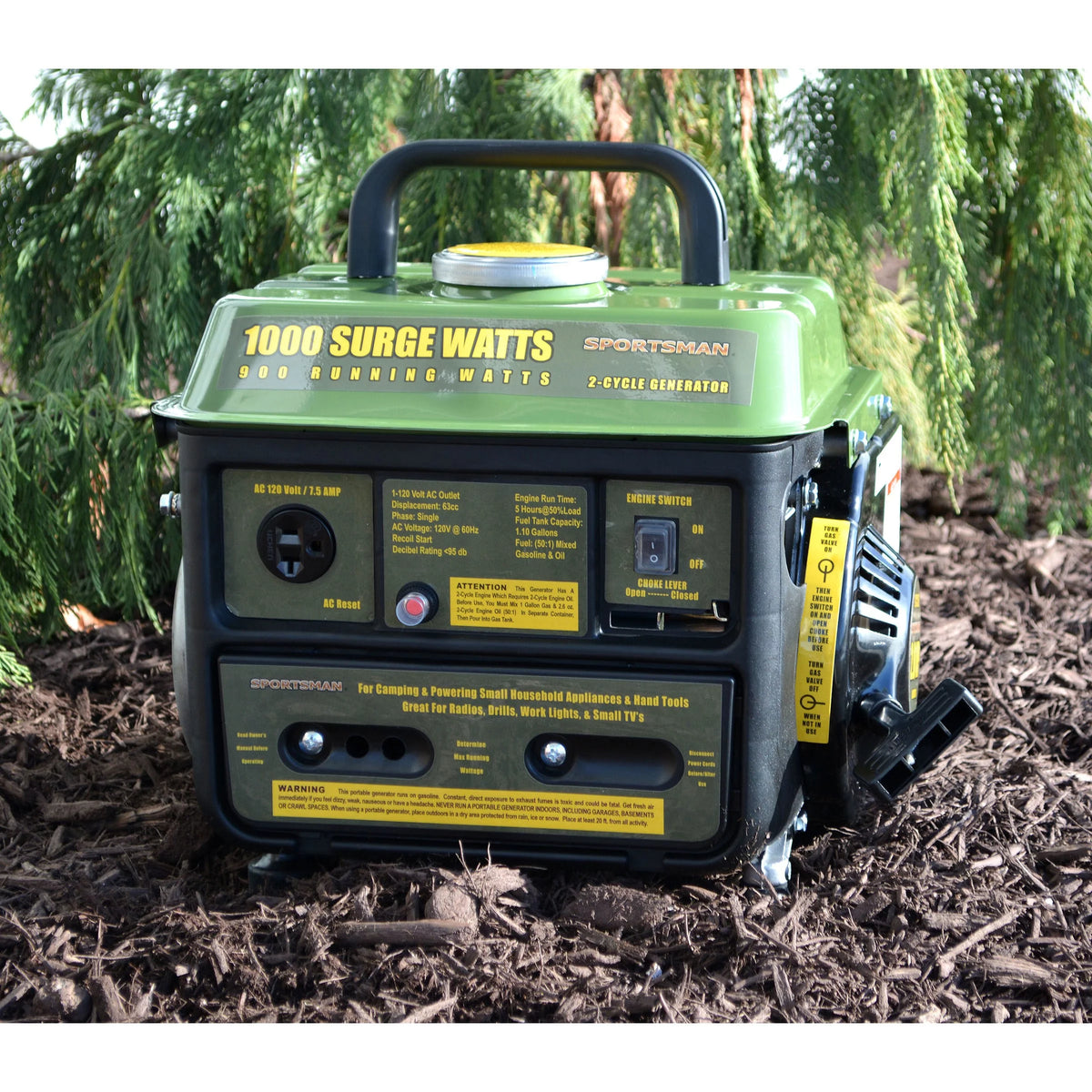 1000 W Portable Generator Y8569