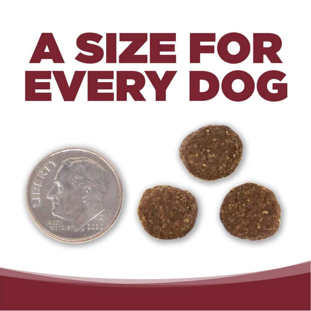 Beef Rice Dry Dog Food R6327