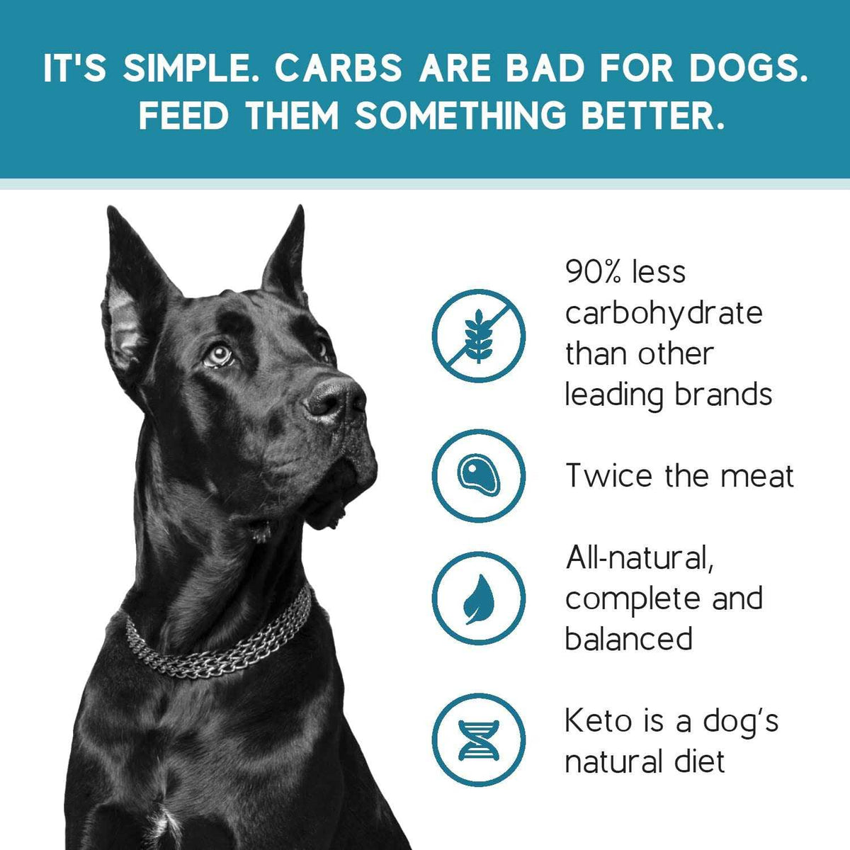 Chicken Recipe Adult Dry Dog Food Low Carb High Protein F329431