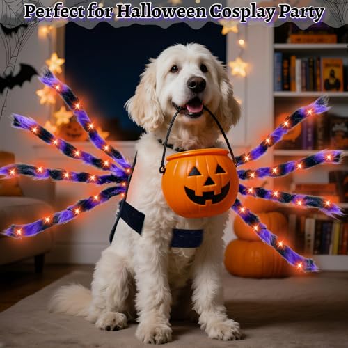 24 LED Spider Dog Halloween Costume E78555
