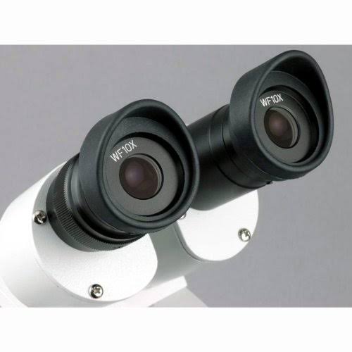 Student Forward Binocular Stereo Microscope 20X-30X-40X-60X S99065