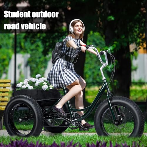 20" x 4.0 Fat Snow Tires 7 Speed Tricycle with Double Disc Brake A99314