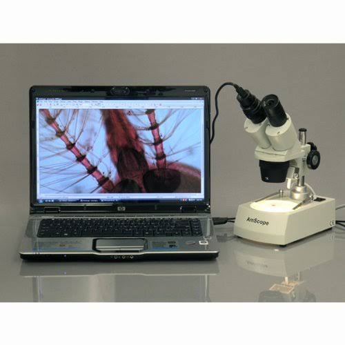 Student Forward Binocular Stereo Microscope 20X-30X-40X-60X S99065