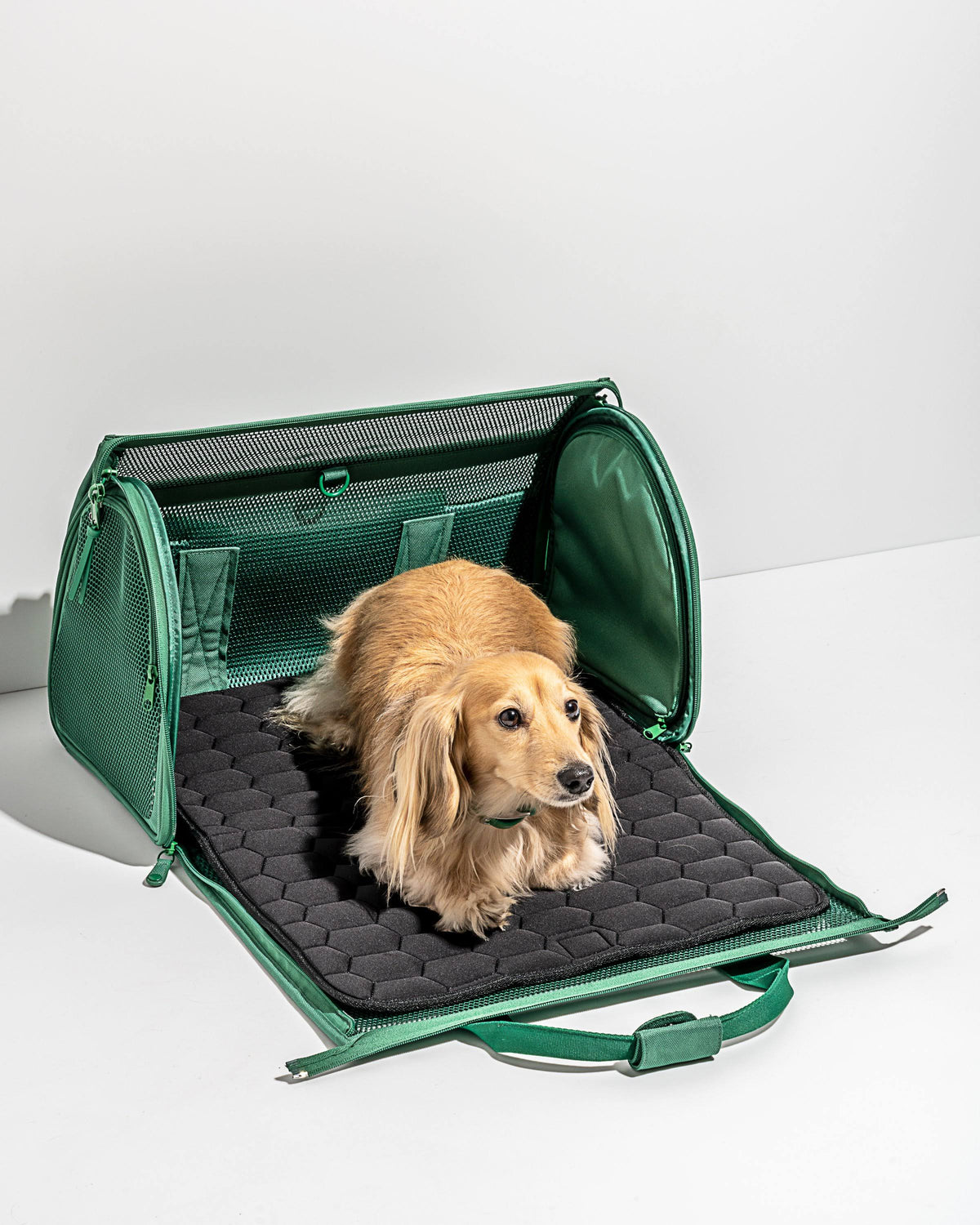 Green Travel Carrier X2501
