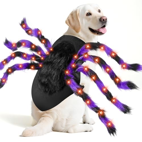 24 LED Spider Dog Halloween Costume E78555