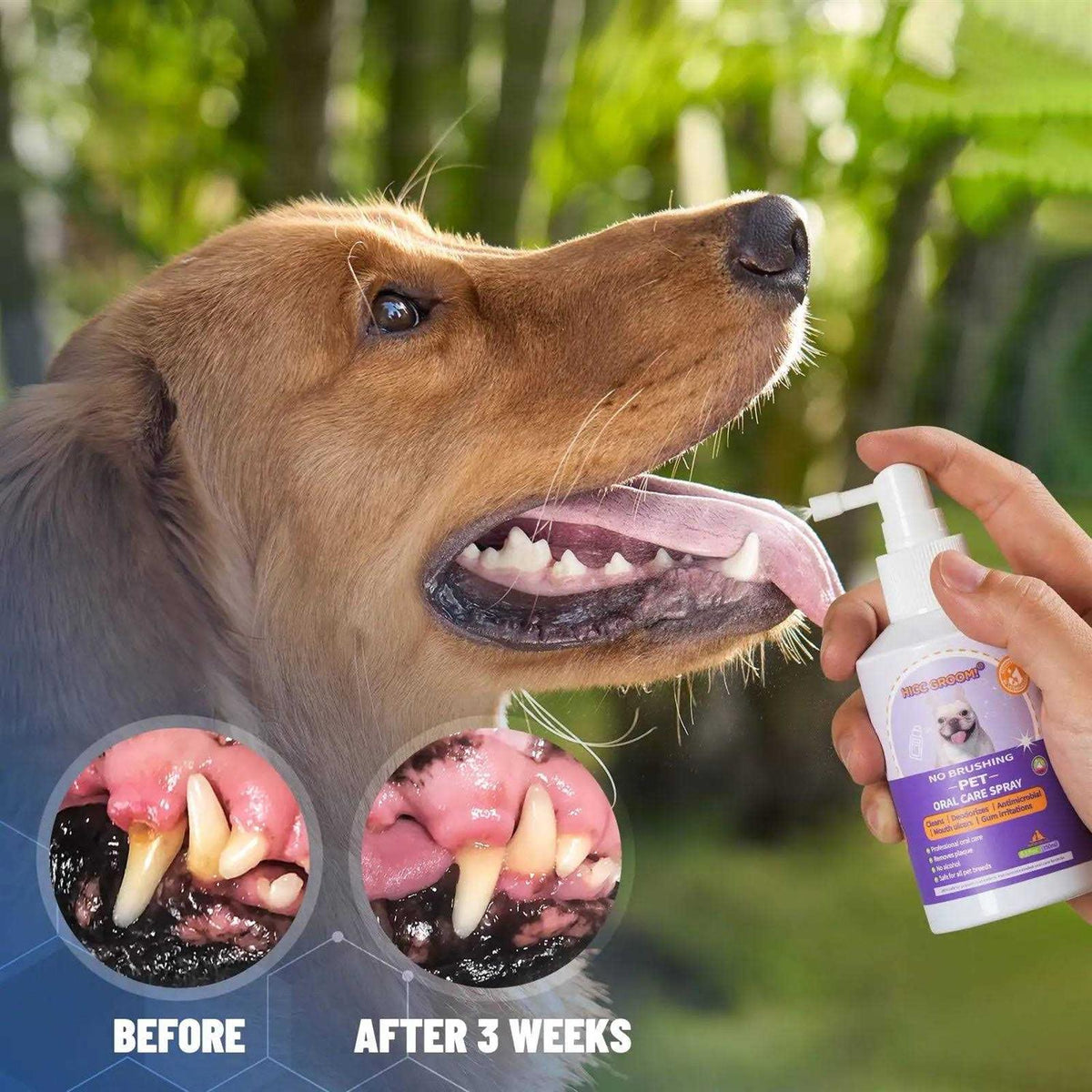 Dog Cat Oral Care Spray 5.1 Oz G196
