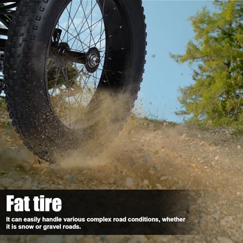 20" x 4.0 Fat Snow Tires 7 Speed Tricycle with Double Disc Brake A99314
