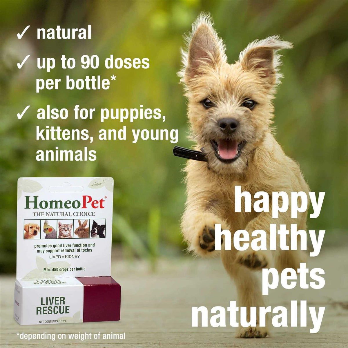 Liver Rescue Pet Supplies F11010