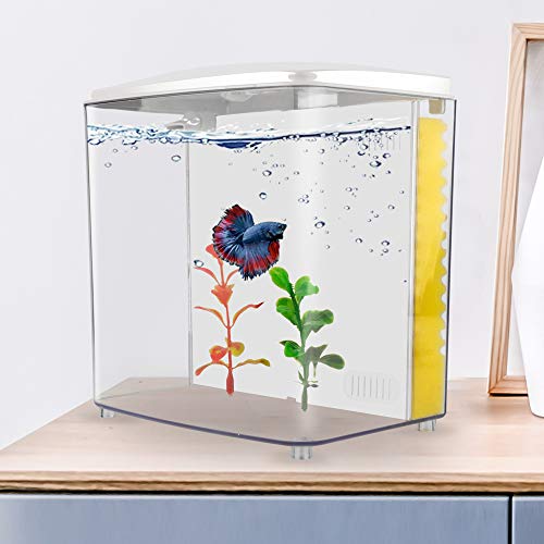 1.2 Gallon Square Fish Tank with LED Light and Filter Pump G831053