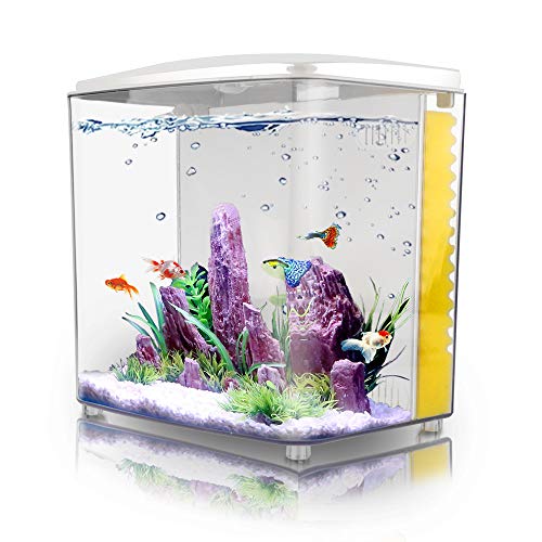1.2 Gallon Square Fish Tank with LED Light and Filter Pump G831053