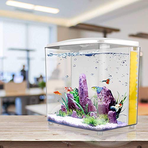 1.2 Gallon Square Fish Tank with LED Light and Filter Pump G831053