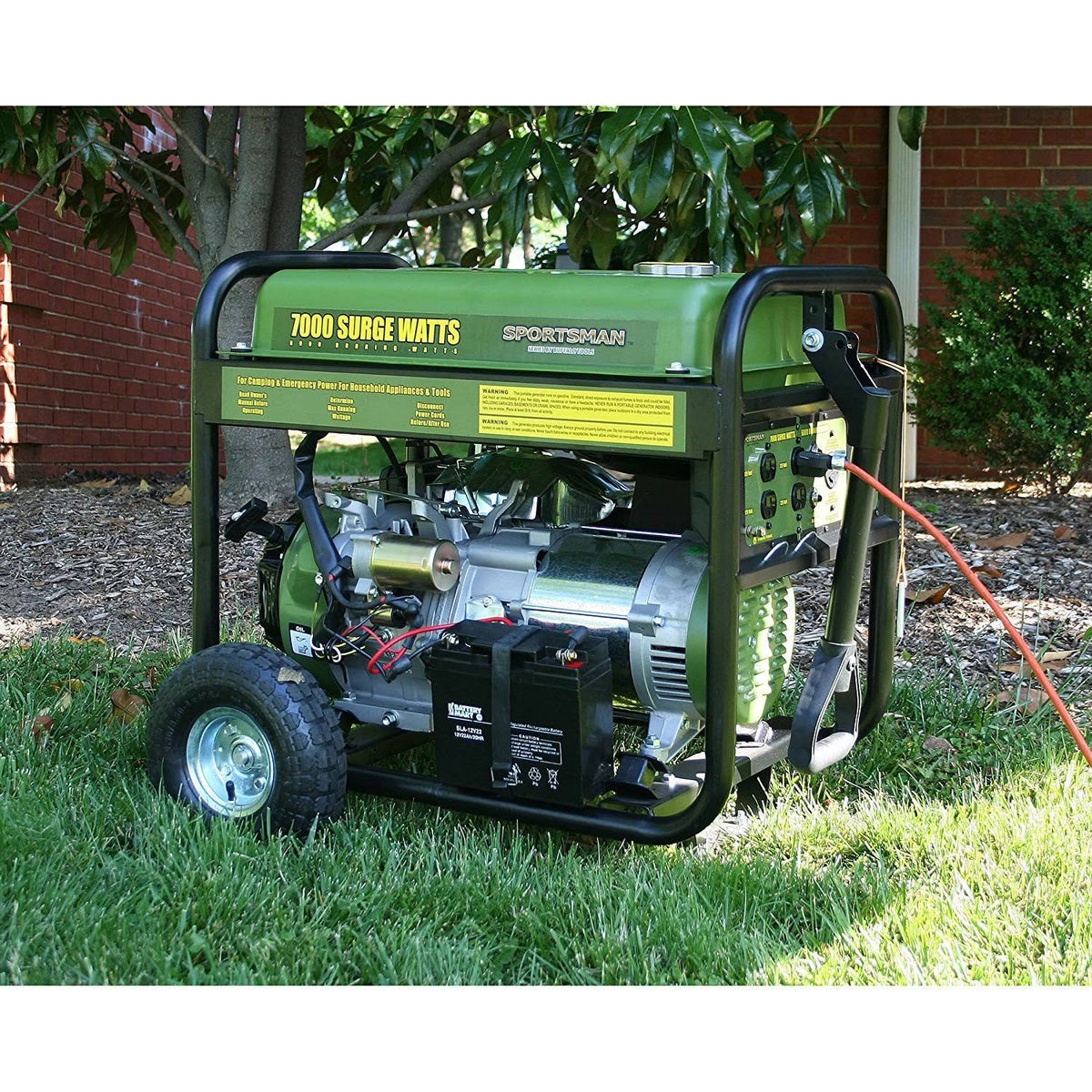4000W Portable Gasoline Generator X365646