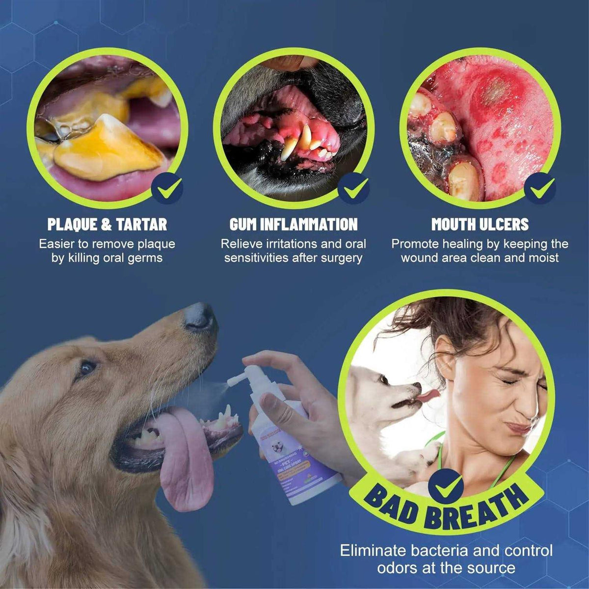 Dog Cat Oral Care Spray 5.1 Oz G196