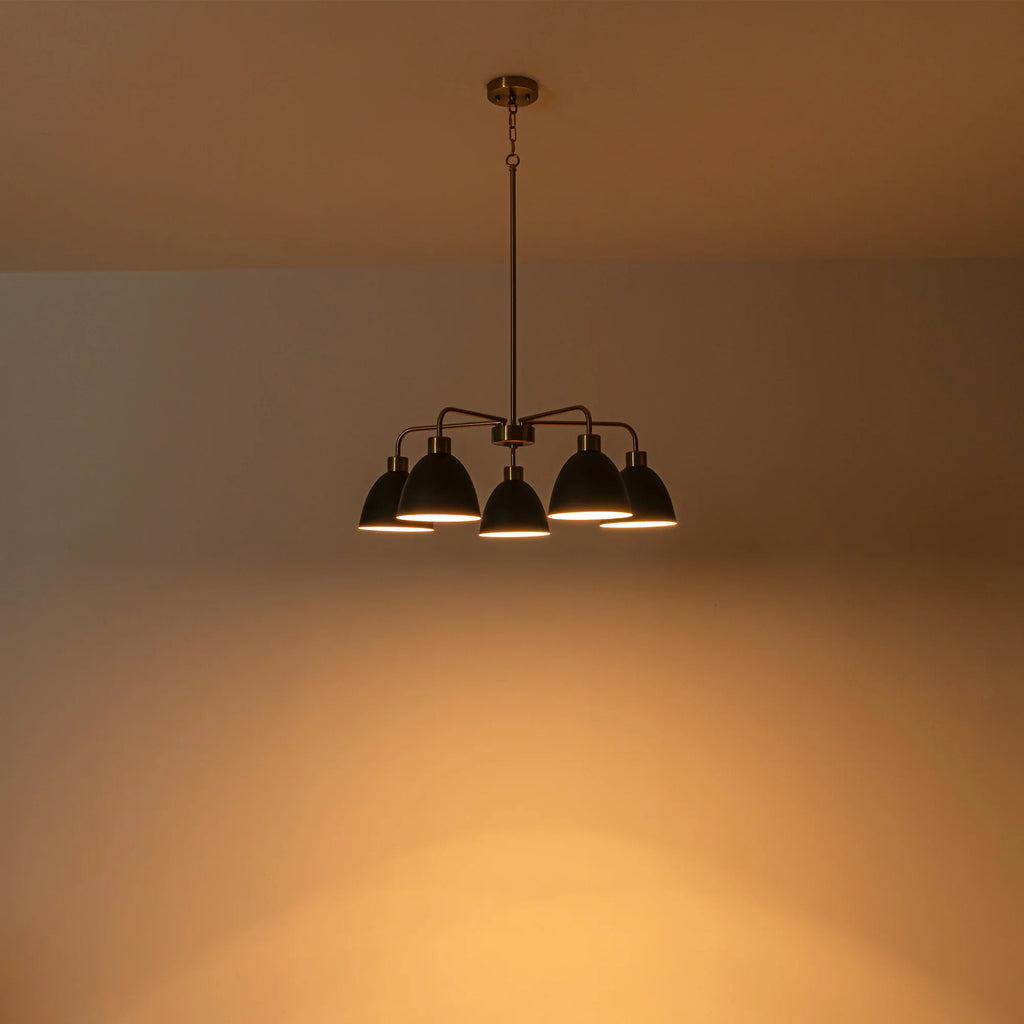 5-Light Dimmable Industrial Shaded Chandelier C479