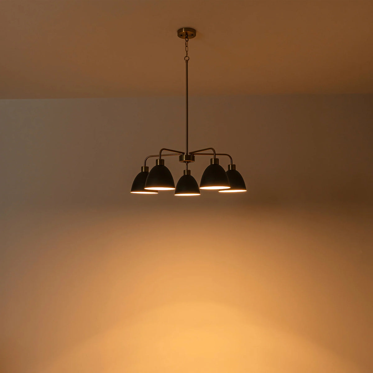5-Light Dimmable Industrial Shaded Chandelier C479