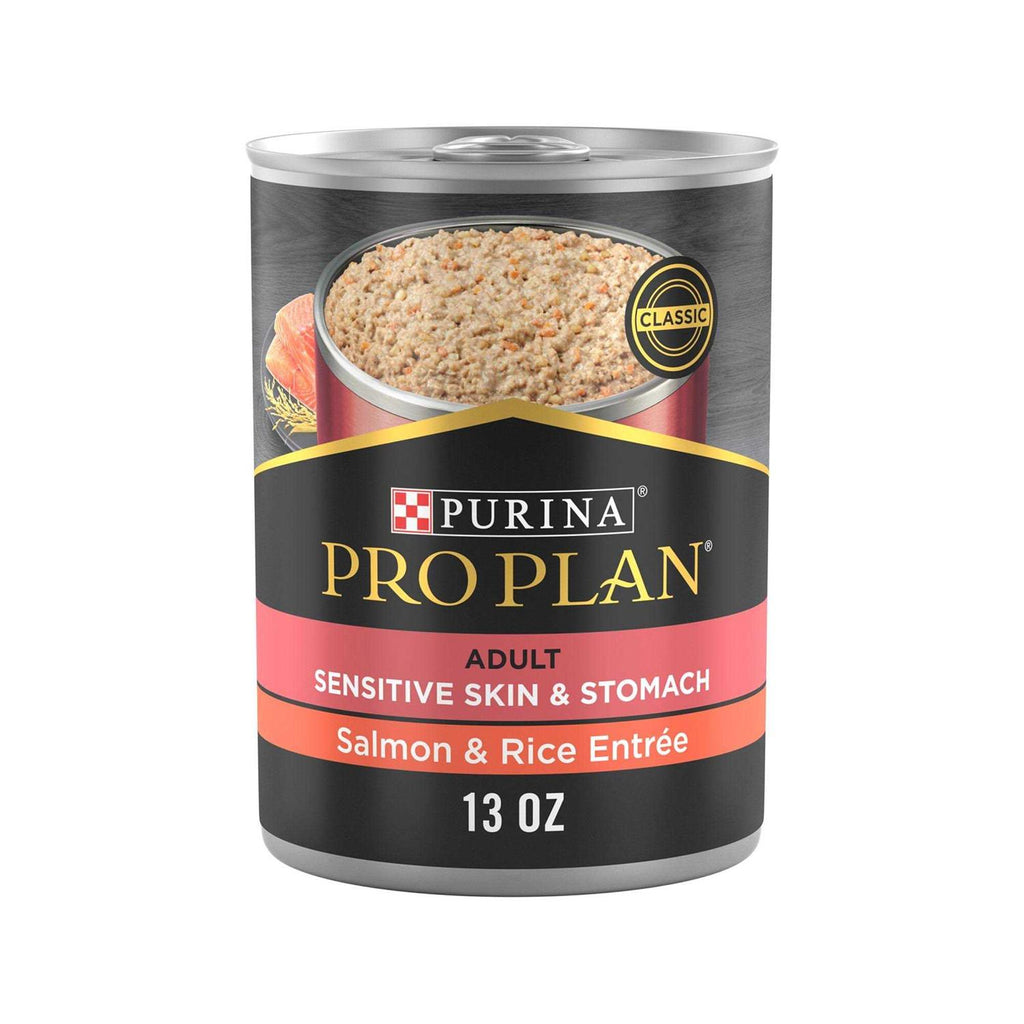 Salmon and Rice Entree Wet Dog Food K22187
