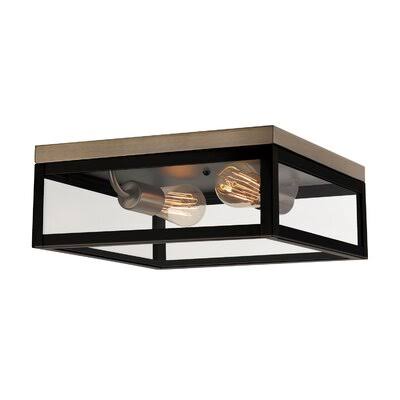 2 Light 13x22 Caged Square Flush Mount O199