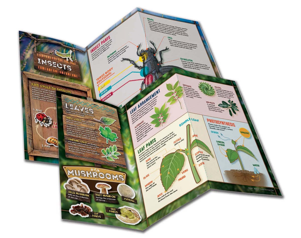 Outdoor Science Lab D43006