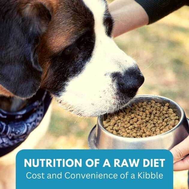 Chicken Recipe Adult Dry Dog Food Low Carb High Protein F329431