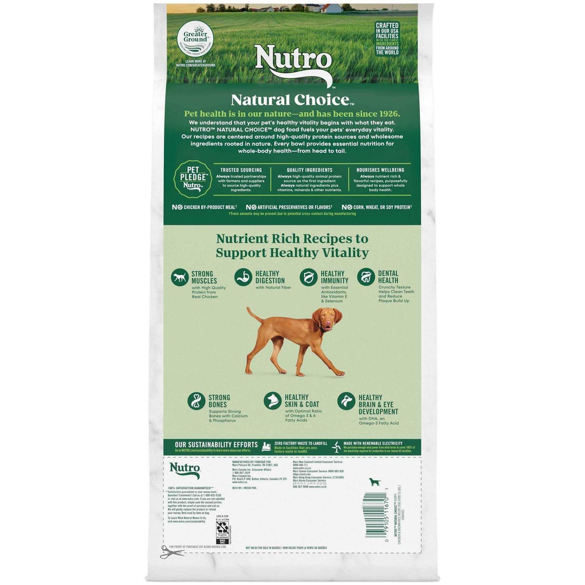 Chicken & Brown Rice Puppy Dog Food F5737