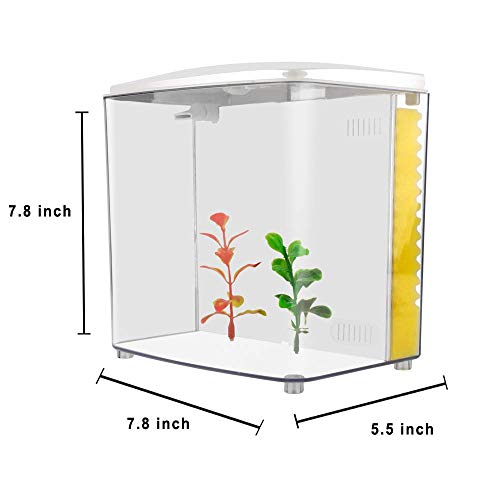 1.2 Gallon Square Fish Tank with LED Light and Filter Pump G831053