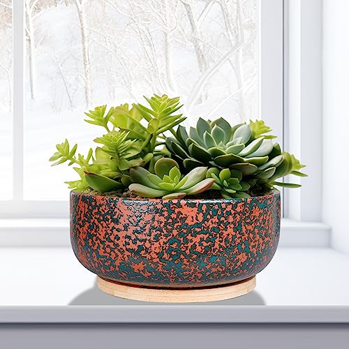 8 Inch Terracotta Planter with Drainage Hole and Bamboo Saucer E6594