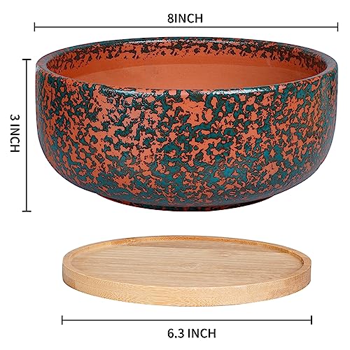 8 Inch Terracotta Planter with Drainage Hole and Bamboo Saucer E6594