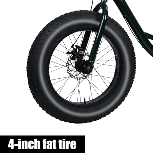20" x 4.0 Fat Snow Tires 7 Speed Tricycle with Double Disc Brake A99314