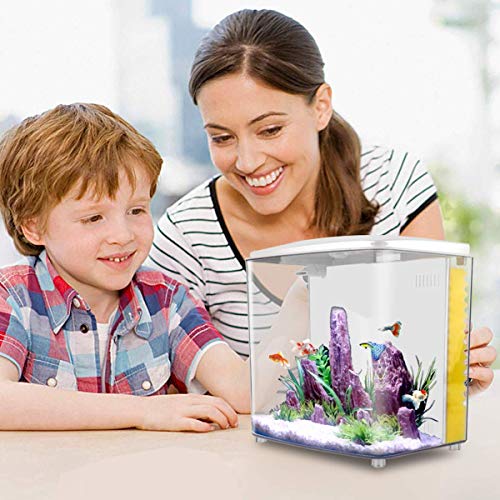 1.2 Gallon Square Fish Tank with LED Light and Filter Pump G831053