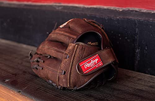 Adult Ball Glove J4298