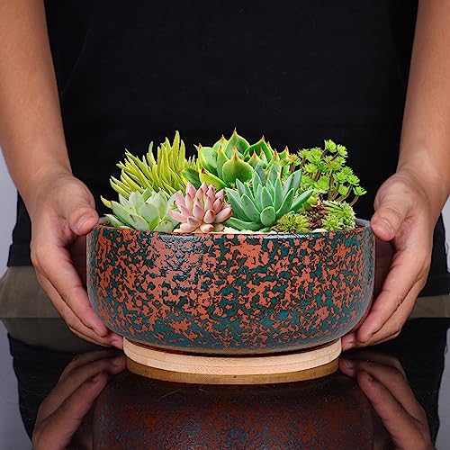 8 Inch Terracotta Planter with Drainage Hole and Bamboo Saucer E6594