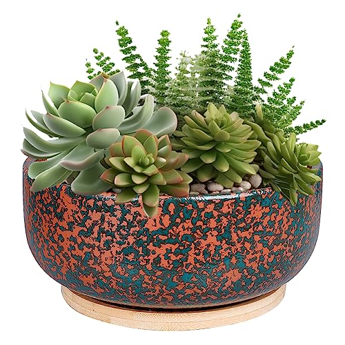 8 Inch Terracotta Planter with Drainage Hole and Bamboo Saucer E6594