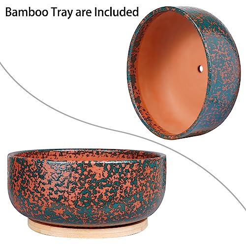 8 Inch Terracotta Planter with Drainage Hole and Bamboo Saucer E6594