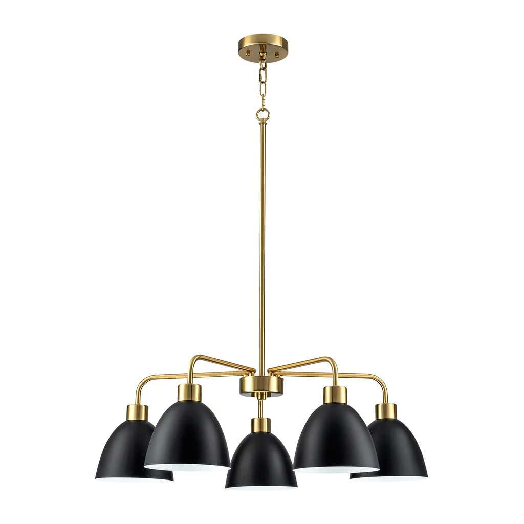 5-Light Dimmable Industrial Shaded Chandelier C479