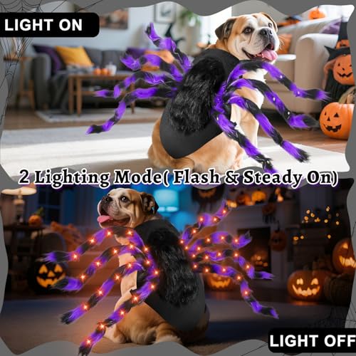 24 LED Spider Dog Halloween Costume E78555