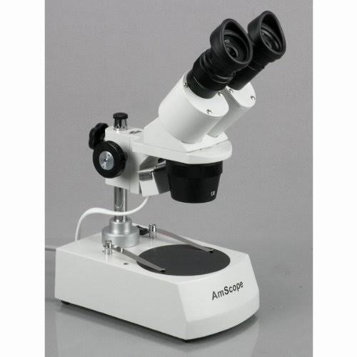 Student Forward Binocular Stereo Microscope 20X-30X-40X-60X S99065