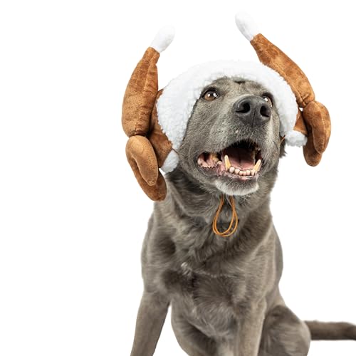 Antler Buffalo Check Pet Hat Z184765