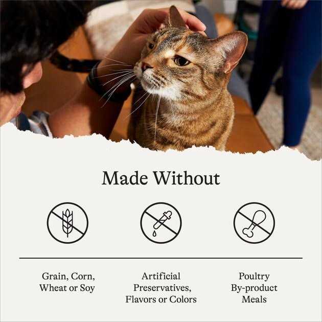 Salmon Grain-Free Dry Cat Food R275850