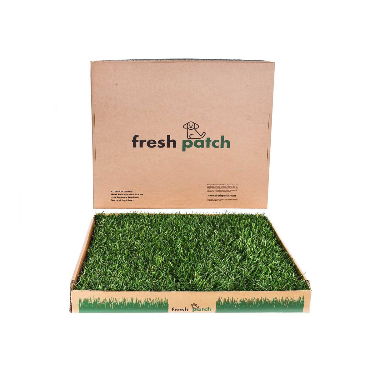 Large Real Grass Pee and Potty Training Pad for Dogs 15 to 30 Pounds C328389