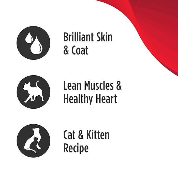 Cod & Duck Cat & Kitten Food J99941