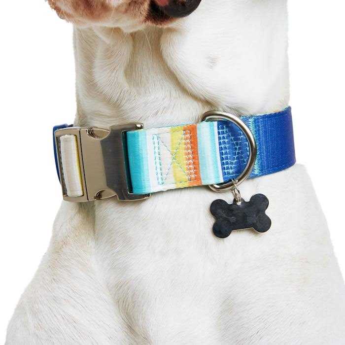 Reflective Dog Collar Y959246